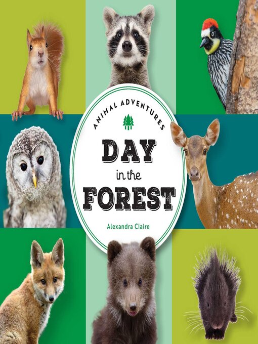 Cover image for Day in the Forest